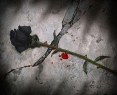 rose noir makanhdiha lhtawahad